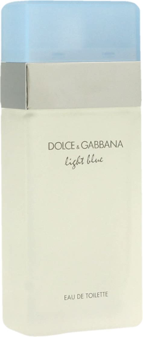 light blue Dolce & Gabbana rossmann